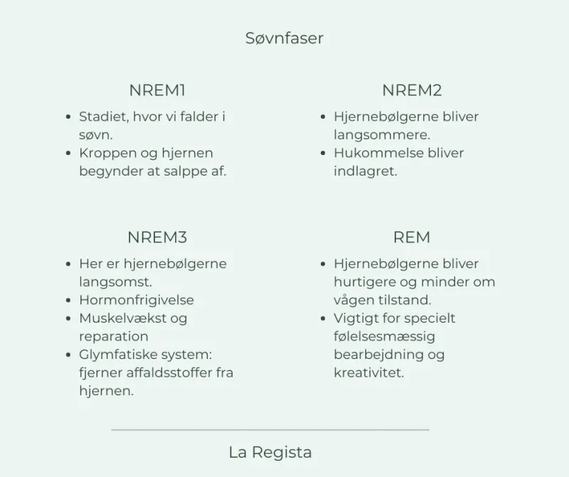 søvnfaser (1)
