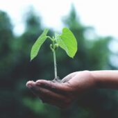 Sådan booster du din virksomheds succes med Mastering Business Growth kursus - Blogindlæg på Iværksætterbloggen
